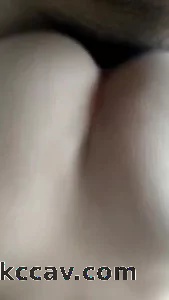忆南平